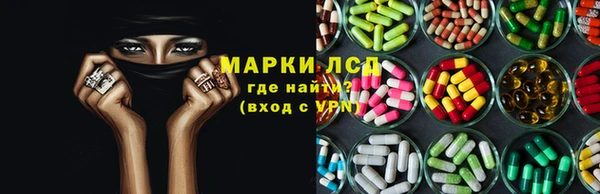 прущие грибы Горняк