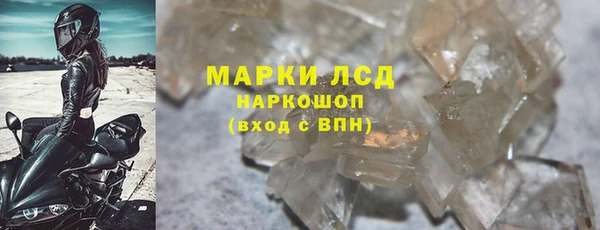 прущие грибы Горняк