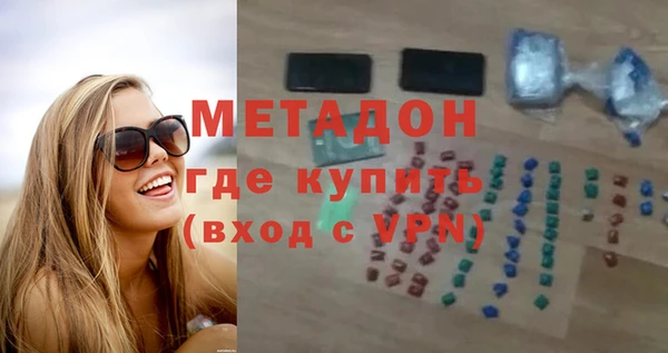 прущие грибы Горняк