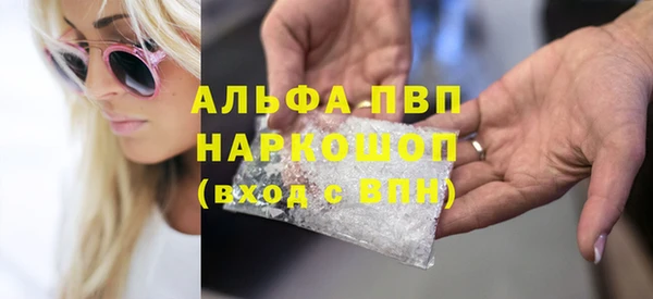 прущие грибы Горняк