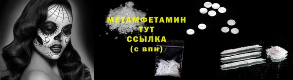 прущие грибы Горняк
