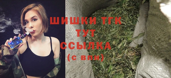 прущие грибы Горняк