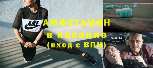 прущие грибы Горняк